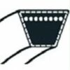 22431719000 - Courroie Pour Motoculteur HONDA 2 22431719000 - Courroie Pour Motoculteur HONDA -Motoculteur et accessoire Soldes 10401172 1