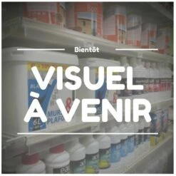 G�N�RIQUE Joint De Prise De Force LONCIN Pour Moteurs LC1P68FB, LC1P70FB. Origine 110830040-0001.