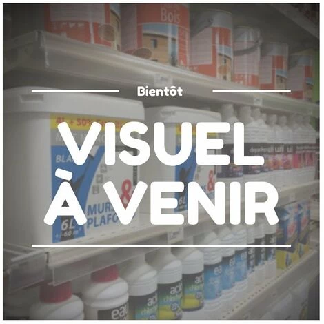 G�N�RIQUE Joint De Prise De Force LONCIN Pour Moteurs LC1P68FB, LC1P70FB. Origine 110830040-0001. 3 G�N�RIQUE Joint De Prise De Force LONCIN Pour Moteurs LC1P68FB, LC1P70FB. Origine 110830040-0001.